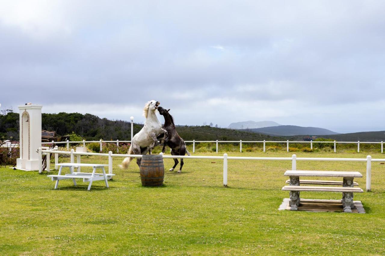 Tniqua Stable Inn Plettenberg Bay Exterior photo