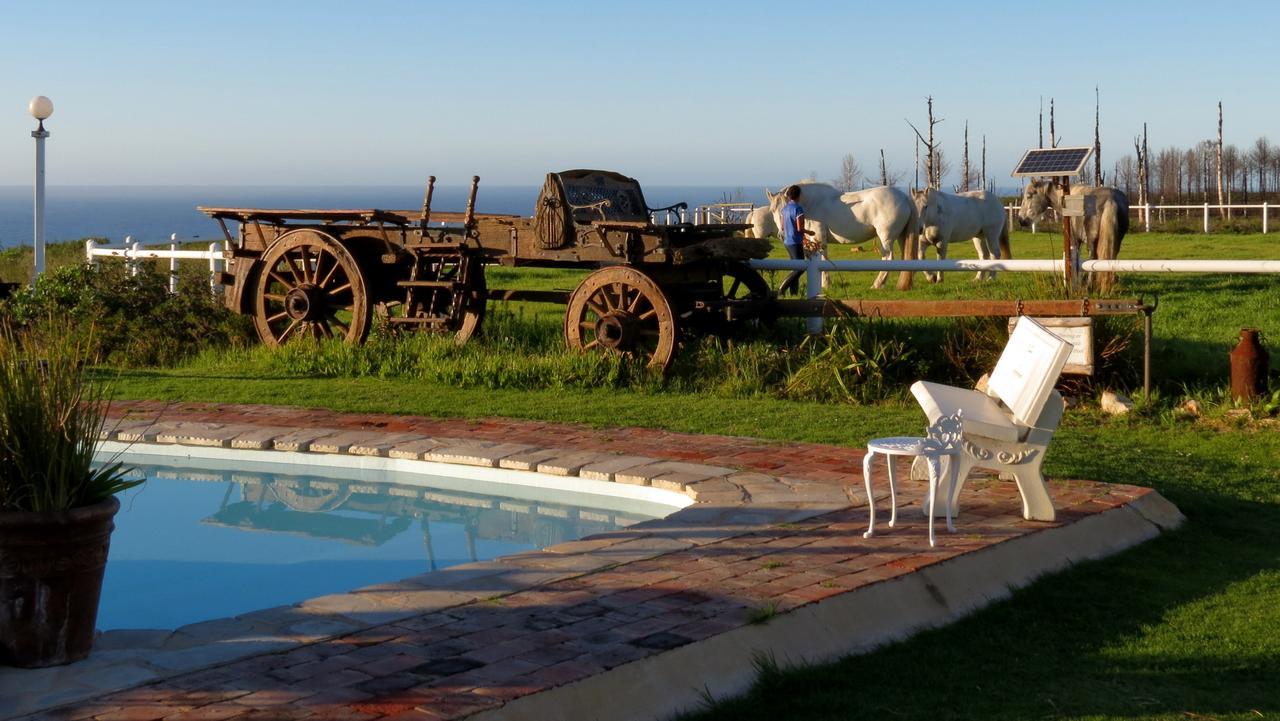 Tniqua Stable Inn Plettenberg Bay Exterior photo