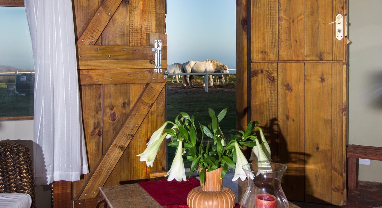 Tniqua Stable Inn Plettenberg Bay Exterior photo